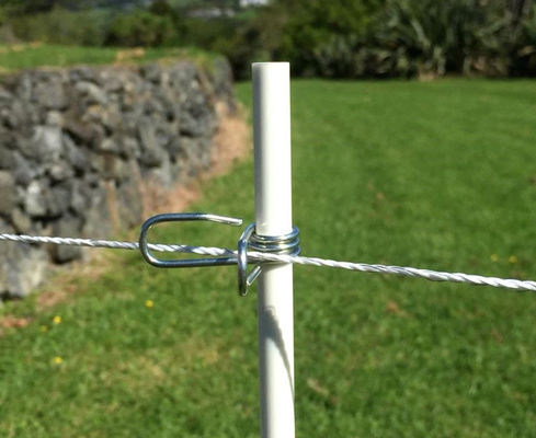 FRP Stakes for Plant Support Customized Length and Light Weight Tomato Nursery Stakes