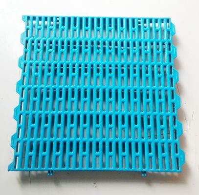 65x15mm Mesh Size Pig Plastic Slatted Floor for Farrowing Crate/Pig Pen Fresh Materials