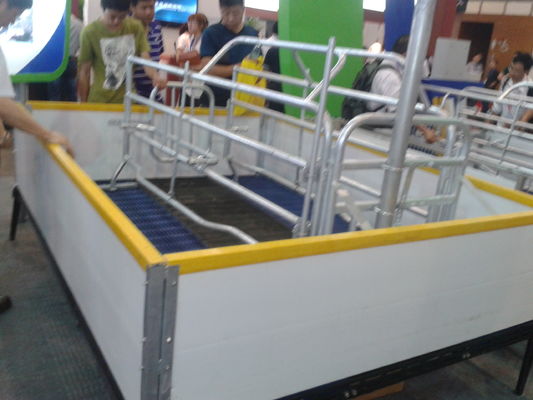1m to 11.6m Length Durable GFRP Support Beam for Pig Farrowing Crate Pen Flooring