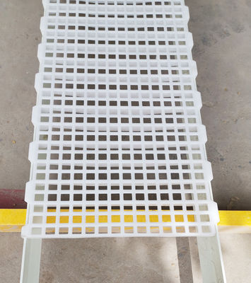 1200x500x50mm Poultry Chicken Farm House Plastic Slatted Flooring Industrial Design