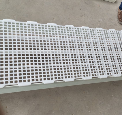 1200x500x50mm Poultry Chicken Farm House Plastic Slatted Flooring Industrial Design
