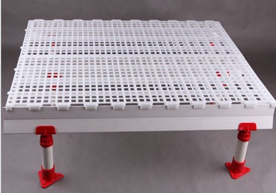 Long-lasting Poultry Farm FRP Fiberglass Beam with Smooth Surface Length 1m to 11.6m