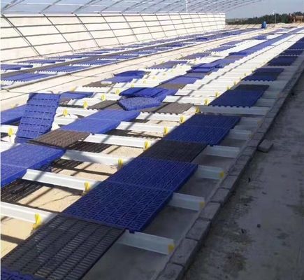 1m-11.6m Length FRP Beam for Poultry/Sheep/Pig Farm Shed Construction Cutting Service