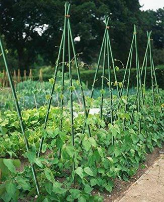 1m to 11.6m Length High Strength Fiberglass Plant Stakes for Tomato Trees and Beans