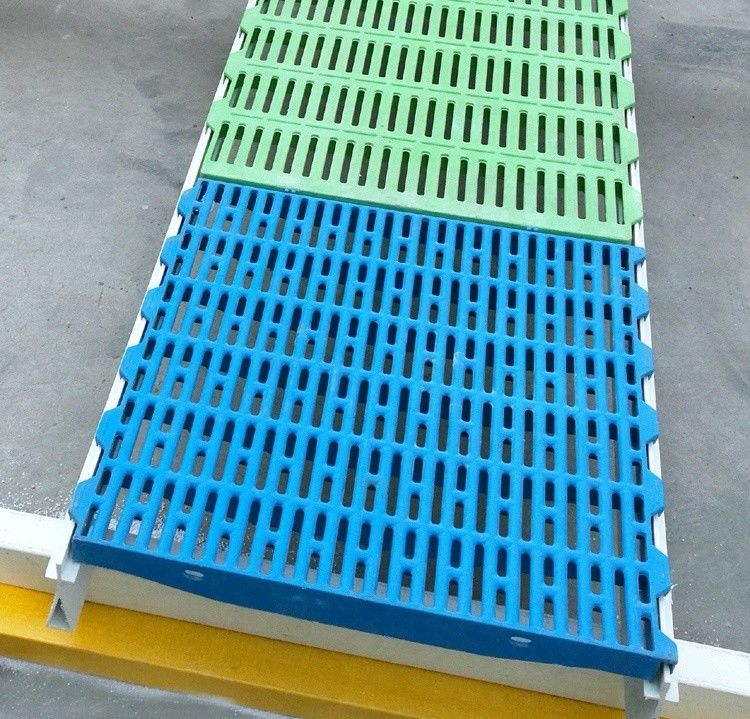 65x15mm Mesh Size Pig Plastic Slatted Floor for Farrowing Crate/Pig Pen Fresh Materials